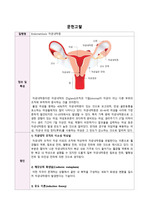 여성실습 문헌고찰 Endometriosis 자궁내막증