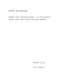 청소년 복지이론을 정리하고 그 중 가장 중요하다고 생각되는 이론을 정하여 본인의 의견과 함께 기술하세요.