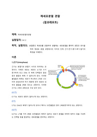 체세포분열의 관찰