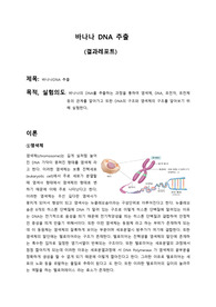 바나나 DNA 추출 레포트