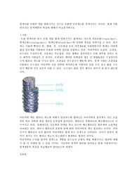 미용학개론-염색이란 모발의 색을 변화시키는 것으로 모발에 인공색소를 착색시키는 것이다 현재 사용되어지는 염색제품의 특징에 대해서 비교분석하시오