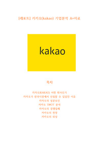 [레포트] 카카오(kakao) 기업분석 A+자료