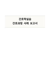Case Study 간호과정 사례보고서(VSim for Nursing_Skyler Hansen 제1형 당뇨병)