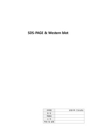 생명과학 보고서_SDS-PAGE &amp; Western blot(아주대 전공실험2)