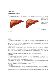 간경변증(Liver cirrhosis) CASE STUDY 간호과정 A+