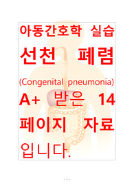 [A+보장]아동간호학실습 선천폐렴(Congeniatal pneumonia) 컨퍼런스, 케이스스터디, 간호과정, 간호진단 14페이지 자료입니다.