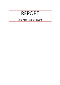 응급재난간호보고서