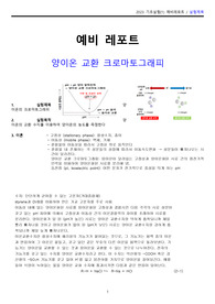 [A+] 크로마토그래피 예비리포트