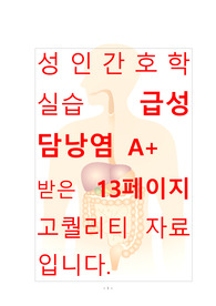 [A+보장]성인간호학실습 급성 담낭염 컨퍼런스, 케이스스터디, 간호과정, 간호진단 13페이지 자료입니다.