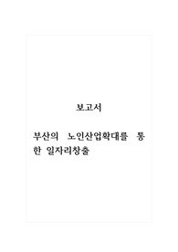 보고서_부산의 노인산업확대를 통한 일자리창출