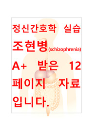 [A+보장]정신간호학실습 조현병 간호과정, 간호진단, 컨퍼런스, 케이스스터디 12페이지 자료입니다.