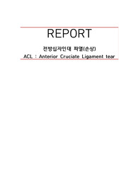 십자인대파열(ACL) CASE STUDY 간호과정 A++