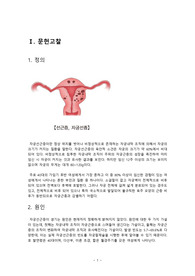 A+받음 자궁선근증 문헌고찰, 케이스스터디 간호진단, 간호과정 2개씩(급성통증, 감염의 위험)