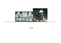 Lab