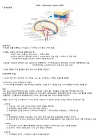 건강사정 과제