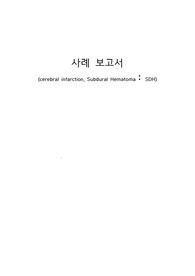 경막하혈종(SDH) CASE STUDY 간호과정 A+