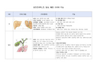 [A+과제][성인간호학][소화기계] 간, 담낭, 췌장 구조와 기능 / 간, 담낭, 췌장 기능에 대한 임상진단 검사