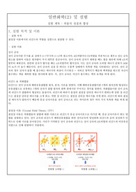 착물의 성질과 합성 실험 레포트