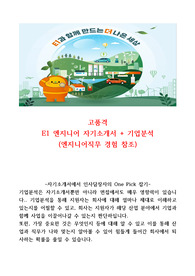 E1 엔지니어 고품격 신입 자기소개서