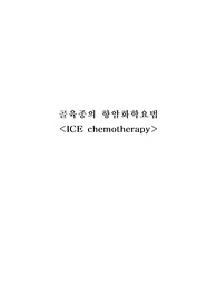 골육종의 항암화학요법(ice chemotherapy) case study