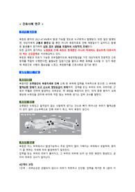 간호사례연구 욕창