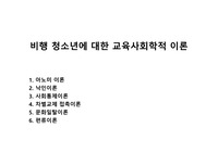 비행 청소년에 대한 교육사회학적 이론