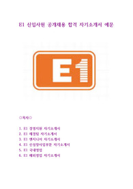 E1 신입사원 공개채용 합격 자기소개서 예문