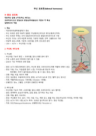 부신호르몬 약물, 리핀코트 약리학