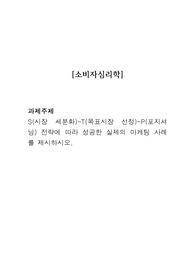 S(시장 세분화)-T(목표시장 선정)-P(포지셔닝) 전략에 따라 성공한 실제의 마케팅 사례를 제시하시오.
