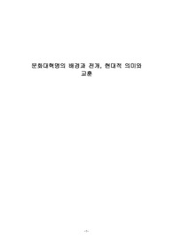 문화대혁명의 배경과 전개, 현대적 의미와 교훈