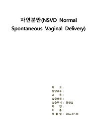 자연분만 (NSVD), 간호진단 10개 간호과정 2개