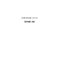 생명과학실험 원생생물 관찰 결과보고서