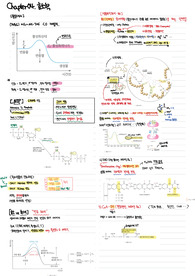 노트정리 chapter 04 효소