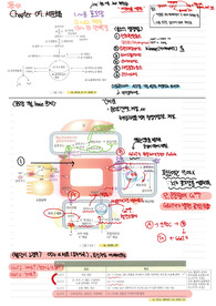 노트정리 chapter 07 세포호흡