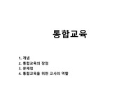 통합교육
