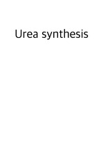 Urea synthesis 예비, 결과레포트