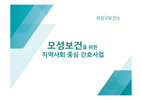 지역사회 모성보건간호사업