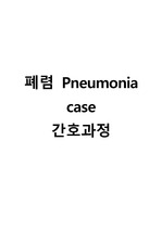 폐렴 pneumonia 케이스/간호진단/간호과정/비효과적 기도청결/고체온/식욕부진과 관련된 영양부족