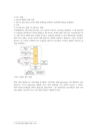 당뇨에 걸린 마우스 실험 예비레포트(당뇨, 췌장, 당뇨유도 약물, 당뇨검사)
