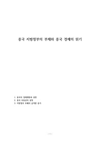 중국 지방정부의 부채와 중국 경제의 위기