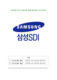 삼성SDI 5급 신입사원 제조생산부문 자기소개서