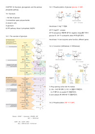 레닌져 생화학 14단원 총정리본