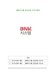 BNK시스템 신입사원 자기소개서