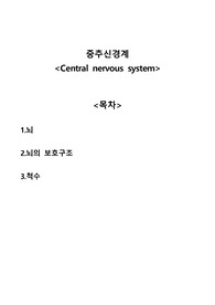 중추신경계 central nervous system A+자료