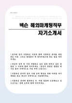 넥슨(NEXON) 해외마케팅 자기소개서(해외영업 자소서)