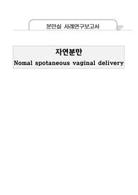 자연분만 사례보고서(간호과정포함)