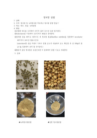 청국장실험