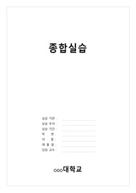 종합실습 케이스, 카덱스, 팀 내 대상자 문제 목록 list 및 우선순위 결정, 종합실습 카덱스 우선순위