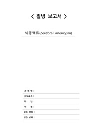 뇌동맥류(cerebral aneurysm) 문헌고찰