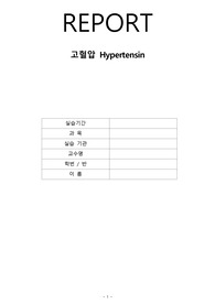 고혈압 HypterTension 문헌고찰+케이스스터디 A+